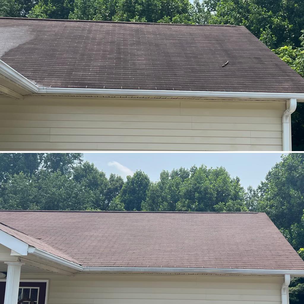 roof cleaning near me